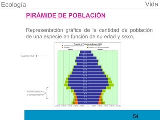 Ecología                                                 Vida
          PIRÁMIDE DE POBLACIÓN

          Representación gráfica de la cantidad de población
          de una especie en función de su edad y sexo.


      Guerra civil




           Individualismo
           y consumismo




                                                    54
 
