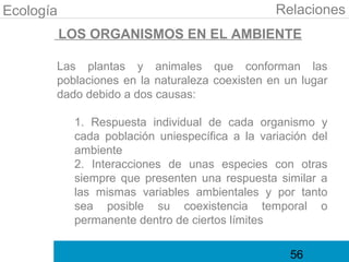 Ecología                                         Relaciones
           LOS ORGANISMOS EN EL AMBIENTE

       Las plantas y animales que conforman las
       poblaciones en la naturaleza coexisten en un lugar
       dado debido a dos causas:

            1. Respuesta individual de cada organismo y
            cada población uniespecífica a la variación del
            ambiente
            2. Interacciones de unas especies con otras
            siempre que presenten una respuesta similar a
            las mismas variables ambientales y por tanto
            sea posible su coexistencia temporal o
            permanente dentro de ciertos límites

                                                    56
 