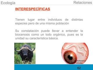 Ecología                                    Relaciones
       INTERESPECÍFICAS

       Tienen lugar entre individuos de distintas
       especies pero de una misma población

       Su constatación puede llevar a entender la
       biocenosis como un todo orgánico, pues es la
       unidad su característica básica.




                                              Onchocerca
                                              volvulus


                                               62
 