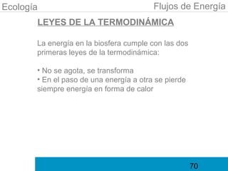 Ecología                                 Flujos de Energía
       LEYES DE LA TERMODINÁMICA

       La energía en la biosfera cumple con las dos
       primeras leyes de la termodinámica:

       • No se agota, se transforma
       • En el paso de una energía a otra se pierde
       siempre energía en forma de calor




                                                      70
 