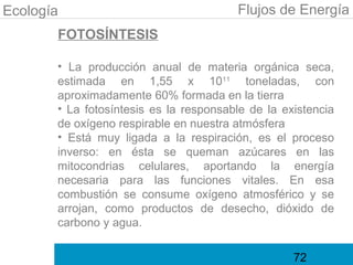 Ecología                                Flujos de Energía
       FOTOSÍNTESIS

       • La producción anual de materia orgánica seca,
       estimada en 1,55 x 1011 toneladas, con
       aproximadamente 60% formada en la tierra
       • La fotosíntesis es la responsable de la existencia
       de oxígeno respirable en nuestra atmósfera
       • Está muy ligada a la respiración, es el proceso
       inverso: en ésta se queman azúcares en las
       mitocondrias celulares, aportando la energía
       necesaria para las funciones vitales. En esa
       combustión se consume oxígeno atmosférico y se
       arrojan, como productos de desecho, dióxido de
       carbono y agua.

                                                   72
 