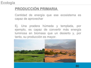 Ecología
       PRODUCCIÓN PRIMARIA
       Cantidad de energía que ese ecosistema es
       capaz de aprovechar

       Ej. Una pradera húmeda y templada, por
       ejemplo, es capaz de convertir más energía
       luminosa en biomasa que un desierto y, por
       tanto, su producción es mayor.




                                             80
 