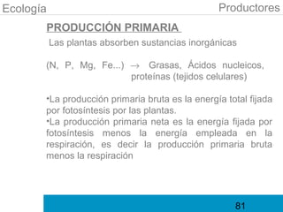 Ecología                                         Productores
       PRODUCCIÓN PRIMARIA
           Las plantas absorben sustancias inorgánicas

       (N, P, Mg, Fe...) → Grasas, Ácidos nucleicos,
                         proteínas (tejidos celulares)

       •La producción primaria bruta es la energía total fijada
       por fotosíntesis por las plantas.
       •La producción primaria neta es la energía fijada por
       fotosíntesis menos la energía empleada en la
       respiración, es decir la producción primaria bruta
       menos la respiración




                                                     81
 