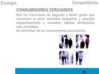 Ecología                                 Consumidores
       CONSUMIDORES TERCIARIOS
       Son los Carnívoros de segundo y tercer grado que
       consumen a otros animales pequeños y grandes
       respectivamente y muestran hábitos alimenticios
       más complejos.
       Se alimentan de los consumidores secundarios




                                               86
 