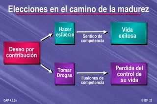 Deseo por contribución Hacer esfuerzo Tomar Drogas Vida exitosa Perdida del control de su vida Sentido de competencia Elecciones en el camino de la madurez Ilusiones de competencia 