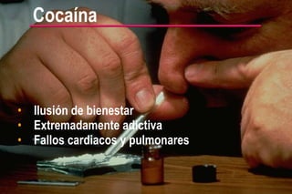 Cocaína Ilusión de bienestar Extremadamente adictiva Fallos cardiacos y pulmonares 