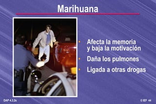 Afecta la memoria y baja la motivación Daña los pulmones Ligada a otras drogas Marihuana 