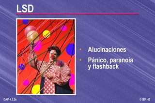 LSD Alucinaciones Pánico, paranoia y flashback 