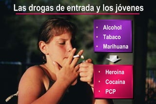 Alcohol Tabaco Marihuana Las drogas de entrada y los jóvenes Heroína Cocaína PCP 
