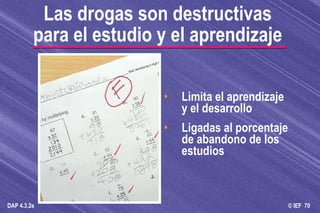 Limita el aprendizaje y el desarrollo Ligadas al porcentaje de abandono de los estudios Las drogas son destructivas para el estudio y el aprendizaje 