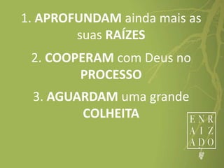 1. APROFUNDAM ainda mais as
suas RAÍZES
2. COOPERAM com Deus no
PROCESSO
3. AGUARDAM uma grande
COLHEITA
 