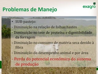 w	
  w	
  w	
  .	
  e	
  x	
  a	
  g	
  r	
  o	
  .	
  c	
  o	
  m	
  .	
  b	
  r	
  
Problemas	
  de	
  Manejo	
  
•  SUB-­‐pastejo:	
  
-­‐	
  Diminuição	
  na	
  relação	
  de	
  folhas:hastes	
  
-­‐	
  Diminuição	
  no	
  teor	
  de	
  proteína	
  e	
  digestibilidade	
  
da	
  forragem	
  
-­‐	
  Diminuição	
  no	
  consumo	
  de	
  matéria	
  seca	
  devido	
  à	
  
Aibra	
  
-­‐	
  Diminuição	
  do	
  desempenho	
  animal	
  e	
  por	
  área	
  
-­‐	
  Perda	
  do	
  potencial	
  econômico	
  do	
  sistema	
  
de	
  produção	
  
 