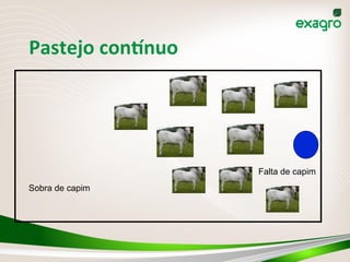 Pastejo	
  conTnuo	
  
Sobra de capim
Falta de capim
 