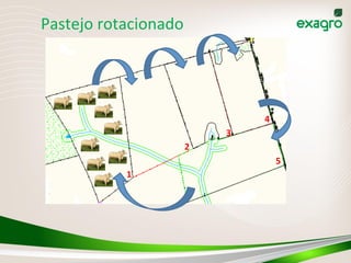 1
2
3
4
5
Pastejo	
  rotacionado	
  
 