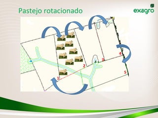 1
2
3
4
5
Pastejo	
  rotacionado	
  
 