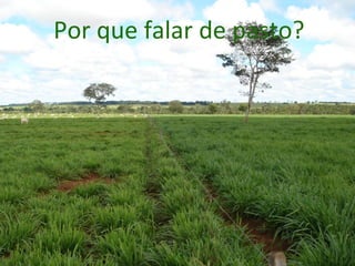 Por	
  que	
  falar	
  de	
  pasto?	
  
 