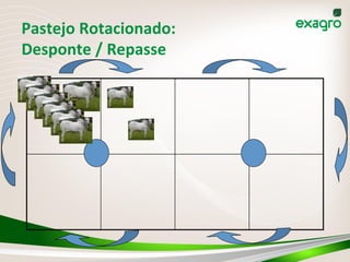 Pastejo	
  Rotacionado:	
  
Desponte	
  /	
  Repasse	
  
 