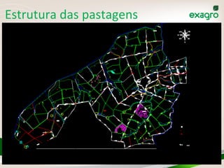 29	
  
Estrutura	
  das	
  pastagens	
  
 