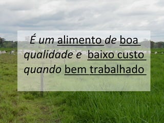 É	
  um	
  alimento	
  de	
  boa	
  
qualidade	
  e	
  	
  baixo	
  custo	
  
quando	
  bem	
  trabalhado	
  
 