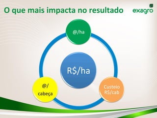 O	
  que	
  mais	
  impacta	
  no	
  resultado	
  
R$/ha	
  
@/ha	
  
Custeio	
  
R$/cab	
  
@/	
  
cabeça	
  
 
