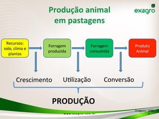 w	
  w	
  w	
  .	
  e	
  x	
  a	
  g	
  r	
  o	
  .	
  c	
  o	
  m	
  .	
  b	
  r	
   6	
  
Hodgson,	
  1990	
  
Recursos:	
  
solo,	
  clima	
  e	
  
plantas	
  
Forragem	
  
produzida	
  
Forragem	
  
consumida	
  
Produto	
  
Animal	
  
Crescimento	
   UOlização	
   Conversão	
  
PRODUÇÃO	
  
Produção	
  animal	
  
em	
  pastagens	
  
 