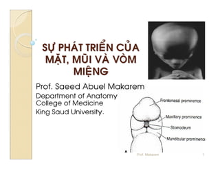 Prof. Makarem   1
 