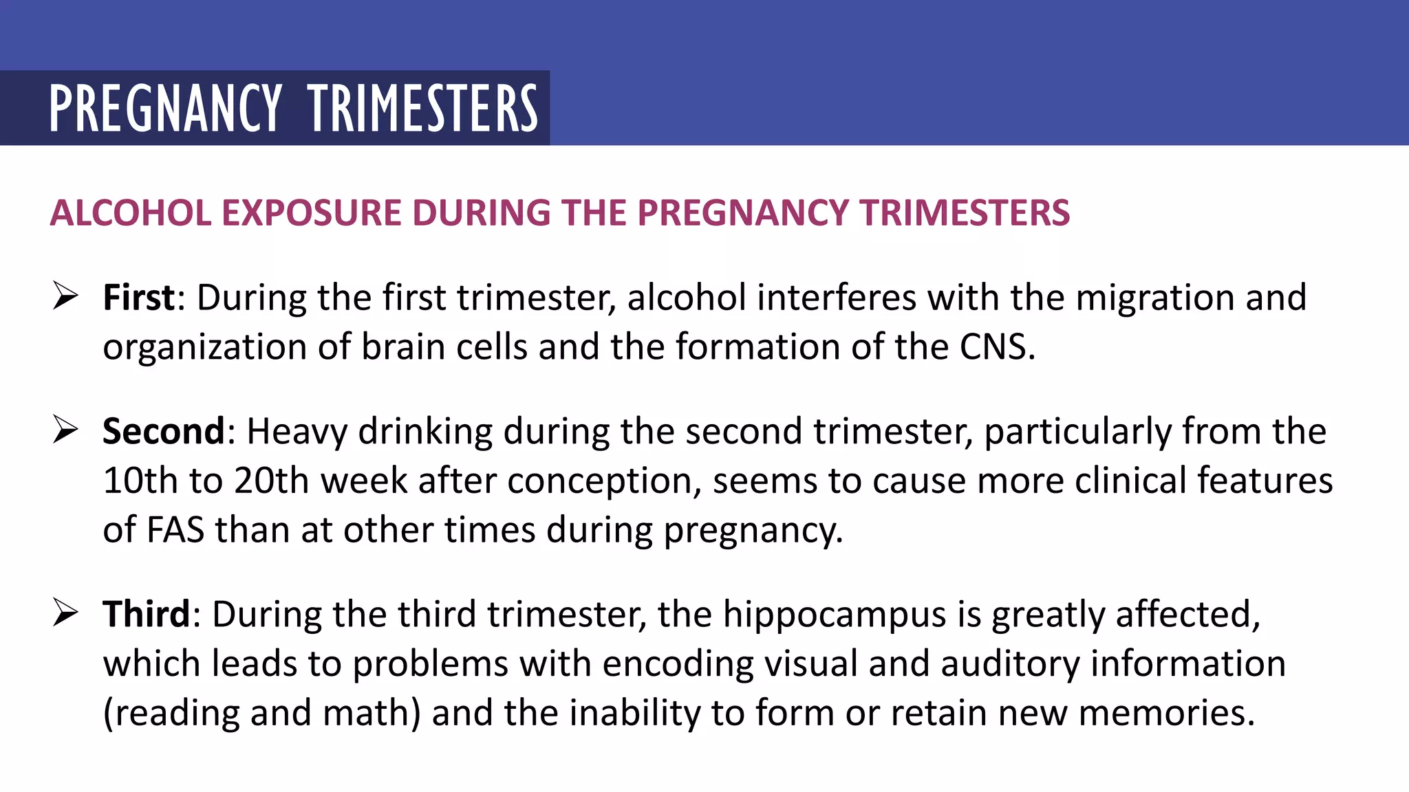 Can a Pregnant Woman Drink Wine in Second Trimester?