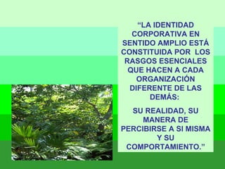 “ LA IDENTIDAD CORPORATIVA EN SENTIDO AMPLIO ESTÁ CONSTITUIDA POR  LOS RASGOS ESENCIALES QUE HACEN A CADA ORGANIZACIÓN DIFERENTE DE LAS DEMÁS:  SU REALIDAD, SU MANERA DE PERCIBIRSE A SI MISMA Y SU COMPORTAMIENTO.” 