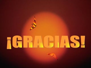 ¡GRACIAS! 