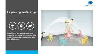 Quand l’un d’eux se précipite pour
engouffrer les fruits, ils reçoivent tous
un jet d’eau glacée. Les bananes sont
alors délaissées.
: - ;
Le paradigme du singe
 