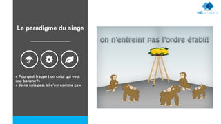 « Pourquoi frappe t on celui qui veut
une banane?»
« Je ne sais pas. Ici c’est comme ça »
: - ;
Le paradigme du singe
 