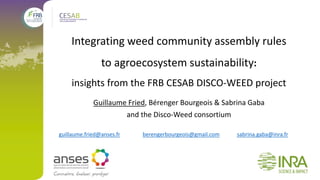 Integrating weed community assembly rules
to agroecosystem sustainability:
insights from the FRB CESAB DISCO-WEED project
Guillaume Fried, Bérenger Bourgeois & Sabrina Gaba
and the Disco-Weed consortium
guillaume.fried@anses.fr berengerbourgeois@gmail.com sabrina.gaba@inra.fr
 