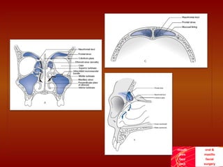 mouth
jaws
face
neck
oral &
maxillo
facial
surgery
 