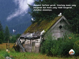 Menurut Definisi gerak, binatang mana yang
bergerak dan mana yang tidak bergerak.
Jelaskan alasannya.
 