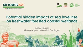 thumbnail of  Potential hidden impact of sea level rise on freshwater forested coastal wetlands – GLF Forests 2025