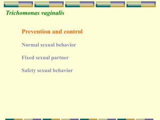 04-hemoflagellate-ppt