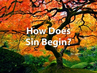Tree in Garden


How Does
Sin Begin?
 