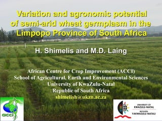 Variation and agronomic potential
of semi-arid wheat germplasm in the
 Limpopo Province of South Africa

        H. Shimelis and M.D. Laing

     African Centre for Crop Improvement (ACCI)
School of Agricultural, Earth and Environmental Sciences
              University of KwaZulu-Natal
                Republic of South Africa
                  shimelish@ukzn.ac.za
 