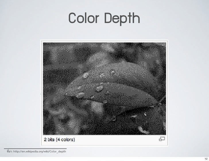 04 Image Andgraphics