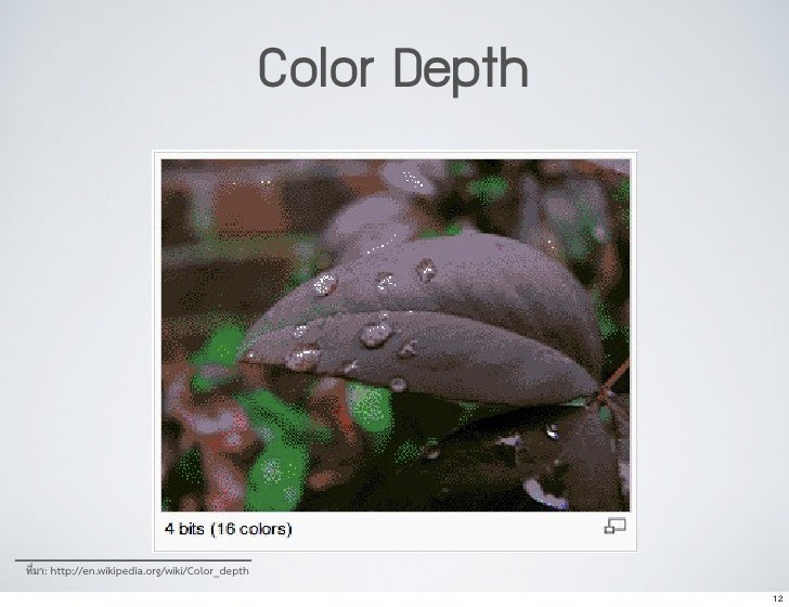 04 Image Andgraphics