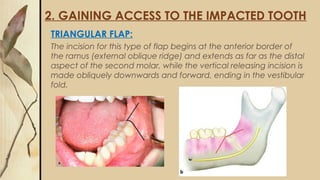 2. GAINING ACCESS TO THE IMPACTED TOOTH
TRIANGULAR FLAP:
The incision for this type of flap begins at the anterior border of
the ramus (external oblique ridge) and extends as far as the distal
aspect of the second molar, while the vertical releasing incision is
made obliquely downwards and forward, ending in the vestibular
fold.
 