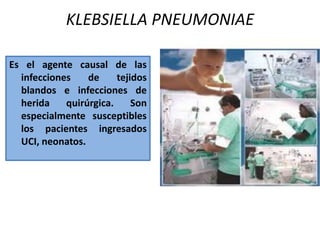ESTAFILOCOCCUS AUREUS Situaciones que facilitan el estado de portador:Pacientes que utilizan agujas de forma sistemática (diabéticos, drogadictos, alérgicos con tratamiento).Enfermedades agudas o crónicas de la piel (quemaduras, dermatitis atópica, eccema, psoriasis, y úlceras de decúbito).Personal de salud sobre todo que labore en hospitales.