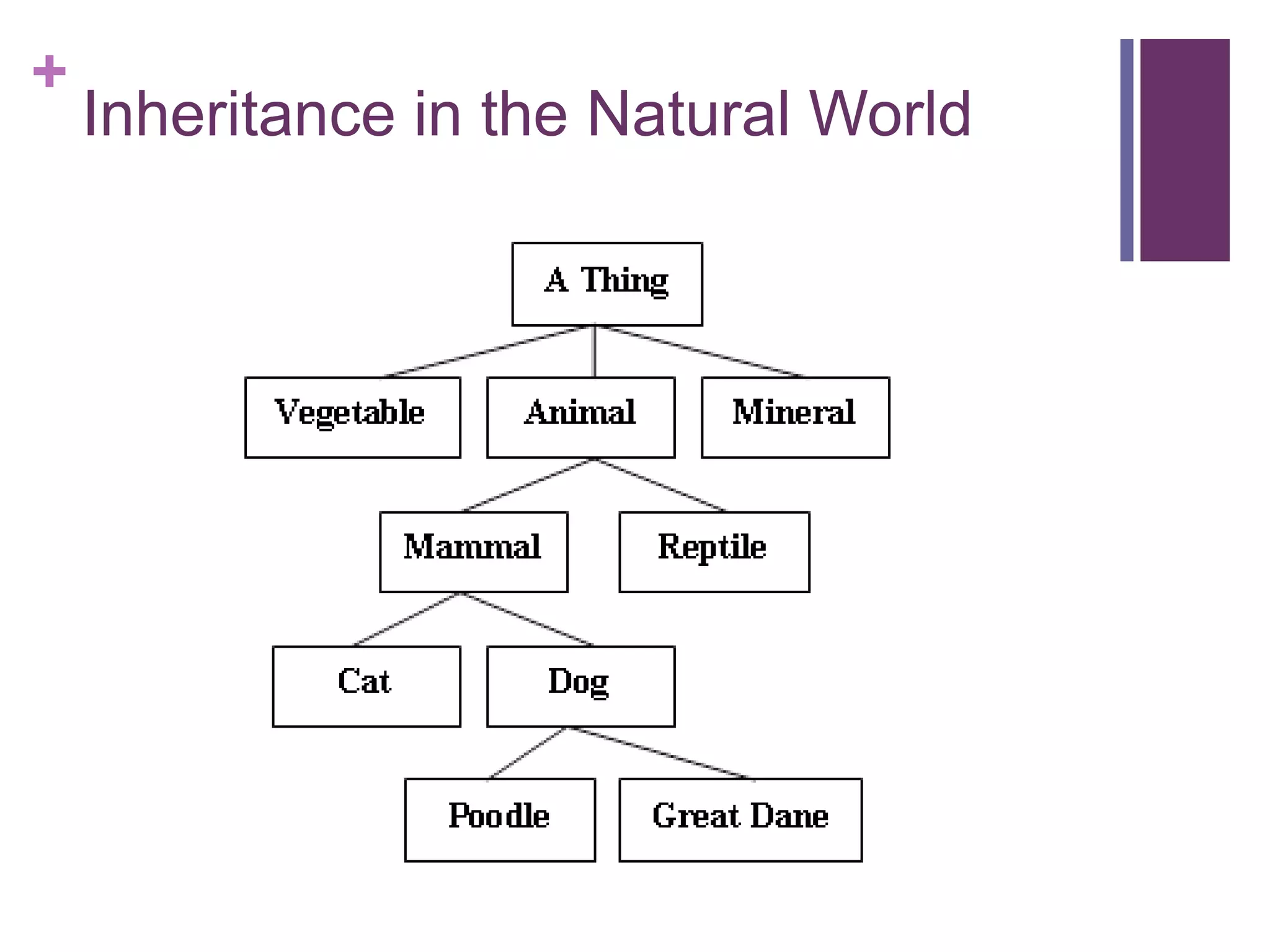 +
Inheritance in the Natural World
 