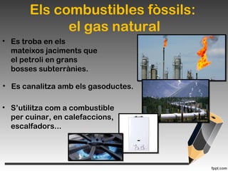 Els combustibles fòssils:
el gas natural
• Es troba en els
mateixos jaciments que
el petroli en grans
bosses subterrànies.
• Es canalitza amb els gasoductes.
• S’utilitza com a combustible
per cuinar, en calefaccions,
escalfadors...
 
