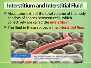 Interstitial Volume Overload 04-Life Block lecture - 3 Physiology + (The Microcirculation, Capillary ...