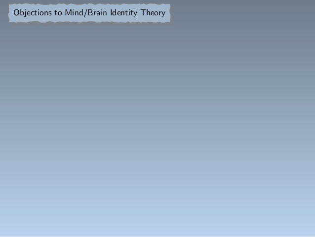 Mind-brain identity theory objection