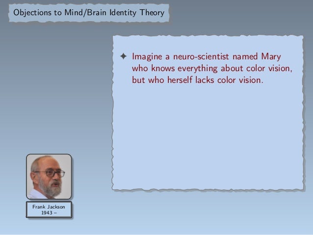 Mind-brain identity theory objection