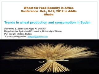 Wheat for Food Security in Africa
                Conference Oct., 8-12, 2012 in Addis
                              Ababa

Trends in wheat production and consumption in Sudan
Mohamed B. Elgali* and Rajaa H. Mustafa
Department of Agricultural Economics, University of Gezira,
PO. Box 20, Medani, Sudan
*Corresponding author: melgali@yahoo.com
 