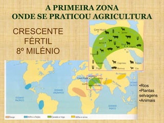 A PRIMEIRA ZONA
ONDE SE PRATICOU AGRICULTURA
CRESCENTE
FÉRTIL
8º MILÉNIO
•Rios
•Plantas
selvagens
•Animais
 