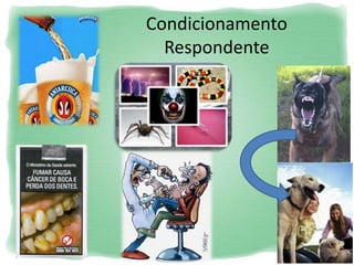 Condicionamento
Respondente
 